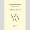 Il Clarinetto, I Clarinettisti e le formazioni Strumentali, di Francesco Pio Ferrentino e Gaetano Apicella