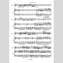 Allegro da Concerto, per Clarinetto e Pianoforte di Gaetano Apicella e Francesca Apicella